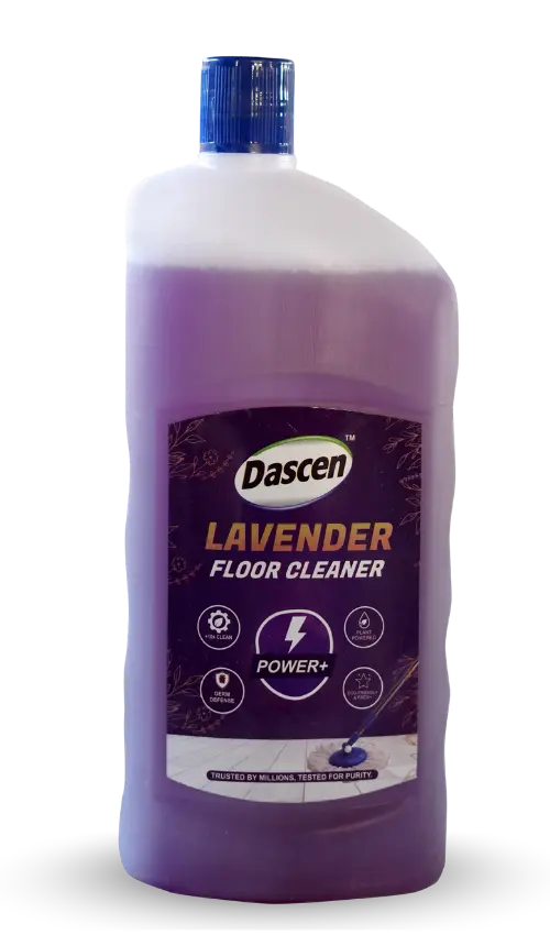 Floor Lavender